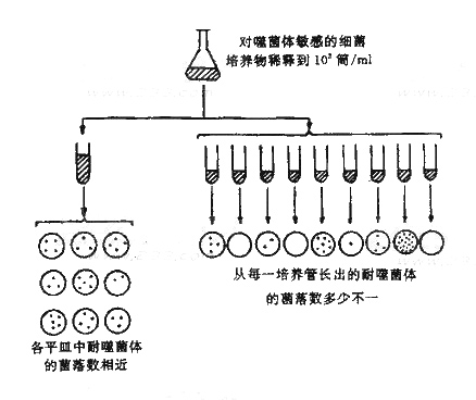 藥師考試